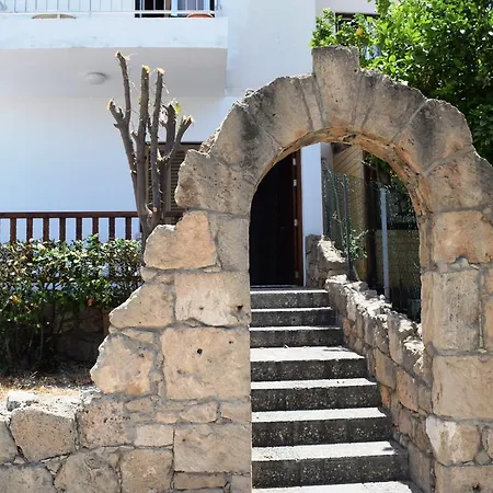 Venus A1 Apartment Paphos